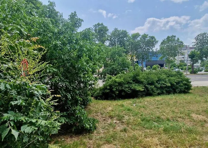 Stylish Apt, Free Parking, Near Center & Airport Appartement *